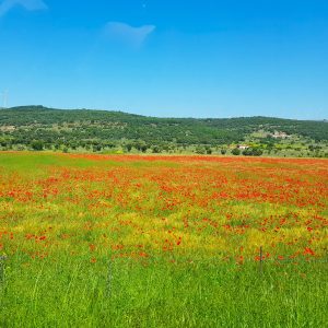 MASIA RURAL LA PARRETA