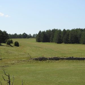 MASIA RURAL LA PARRETA
