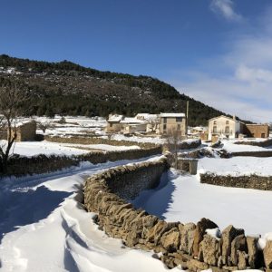 IMG_3357-scaled-800x1000