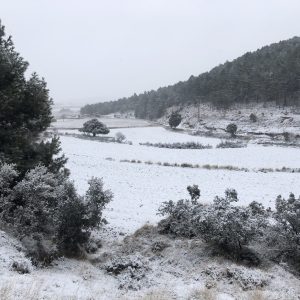 MASIA RURAL LA PARRETA